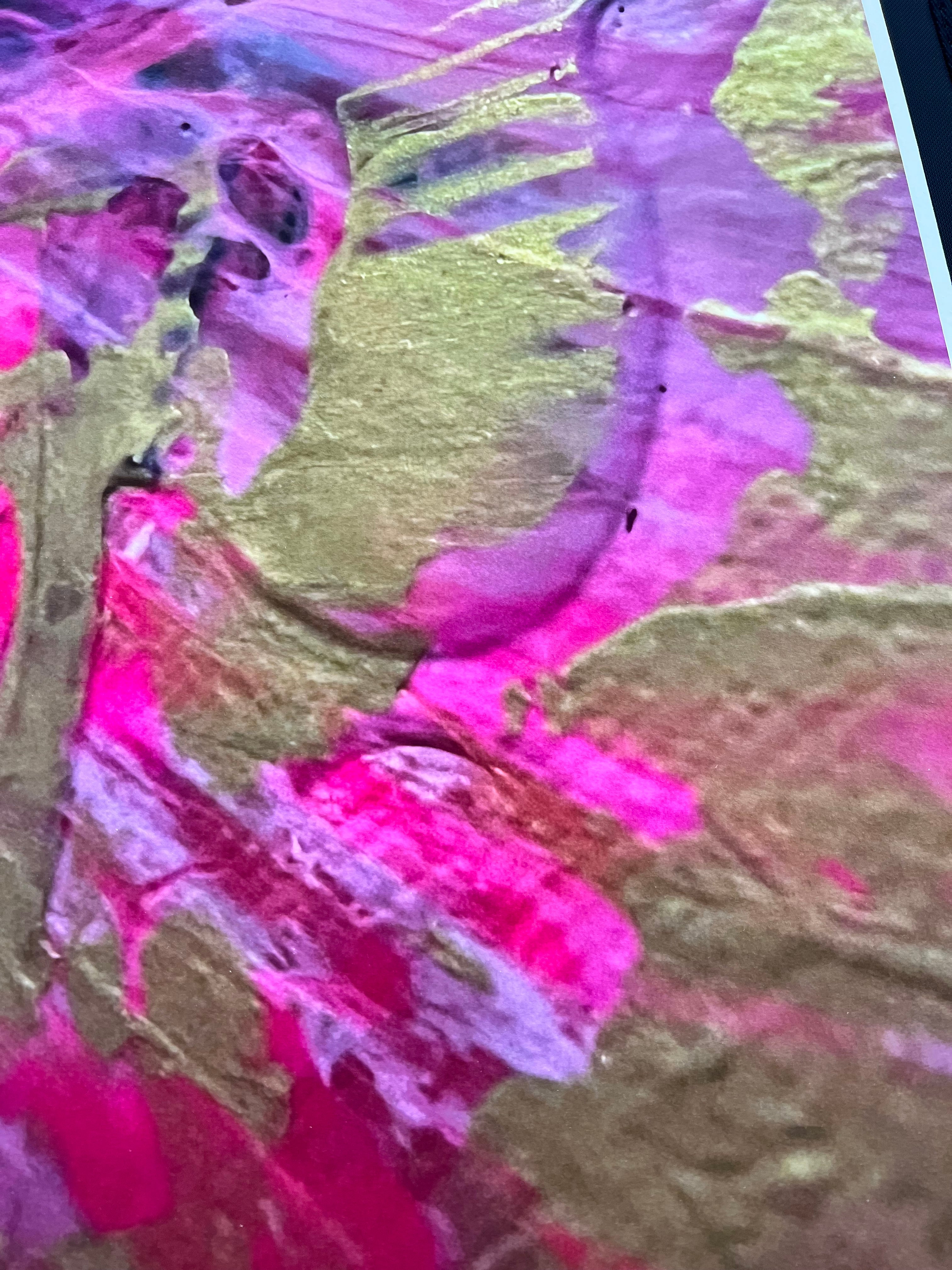 Kunstdruck, Ausschnitt aus „Reiche Ernte“ Unikat, 30 x 45 cm